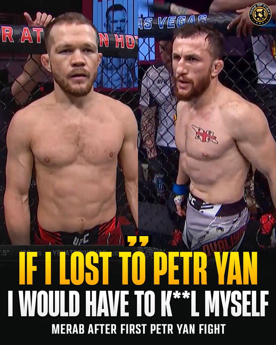 pappabruN tweet media