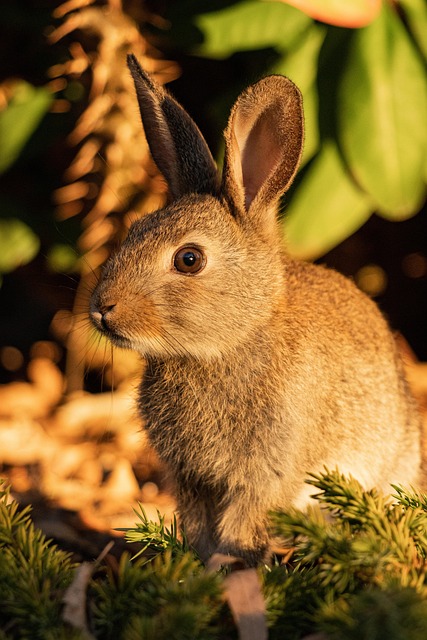 Ray Bollinger tweet media