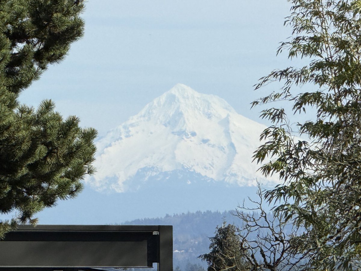 Jeff Forgeron tweet media