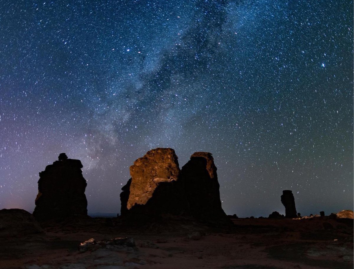 في السعودية tweet media