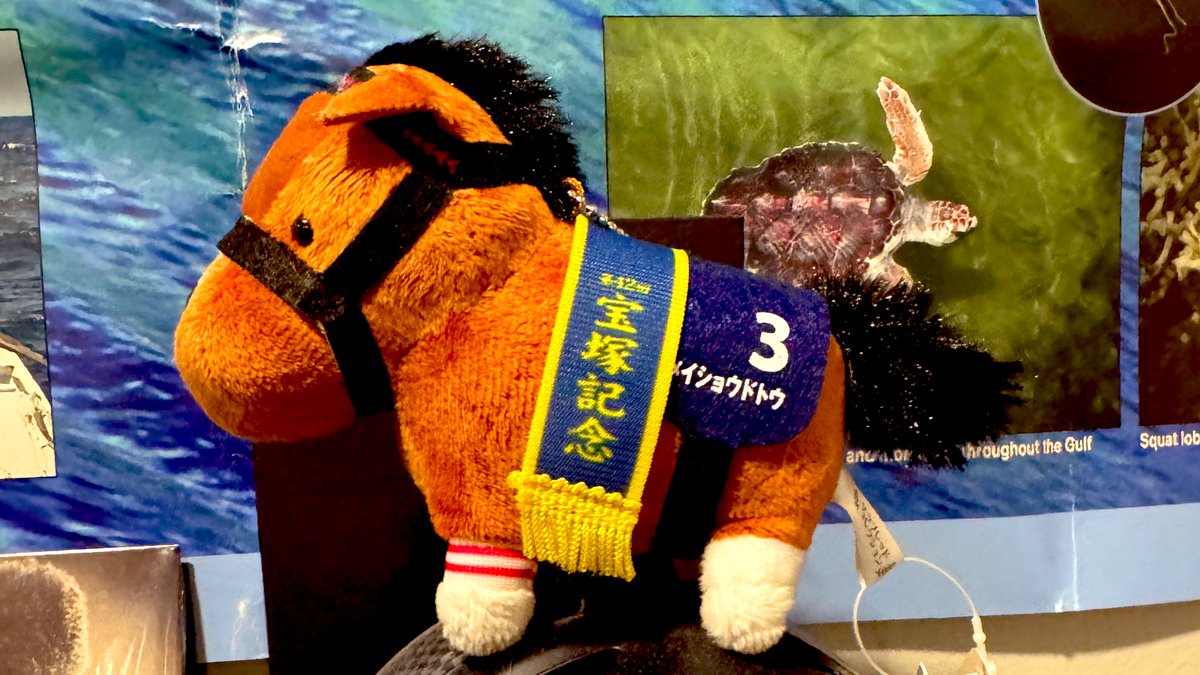 🌺. I got the thoroughbred collection plush of Meisho Doto…I have never been so happy~