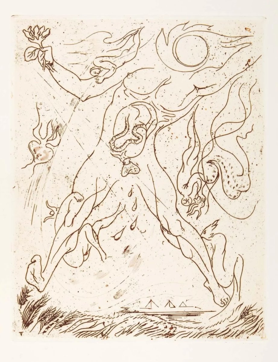 Books Landscape Magic tweet media