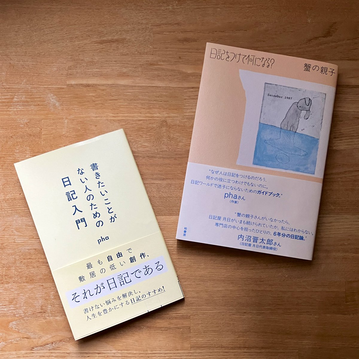 古賀及子 tweet media