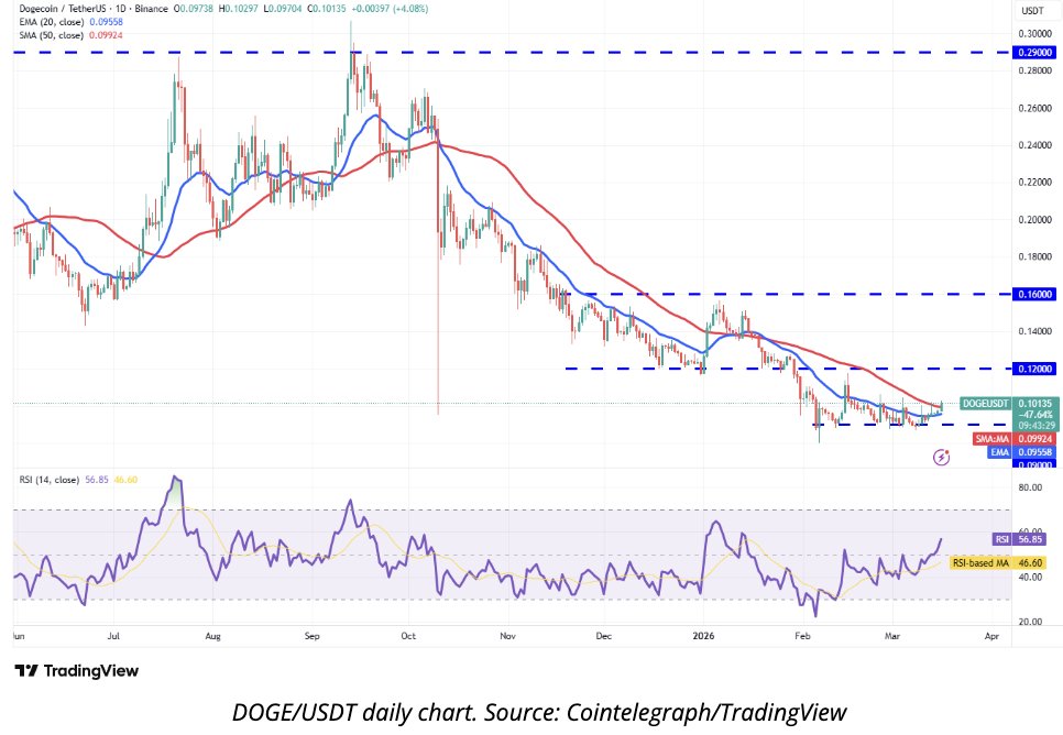 Mr. CryptoCeek tweet media