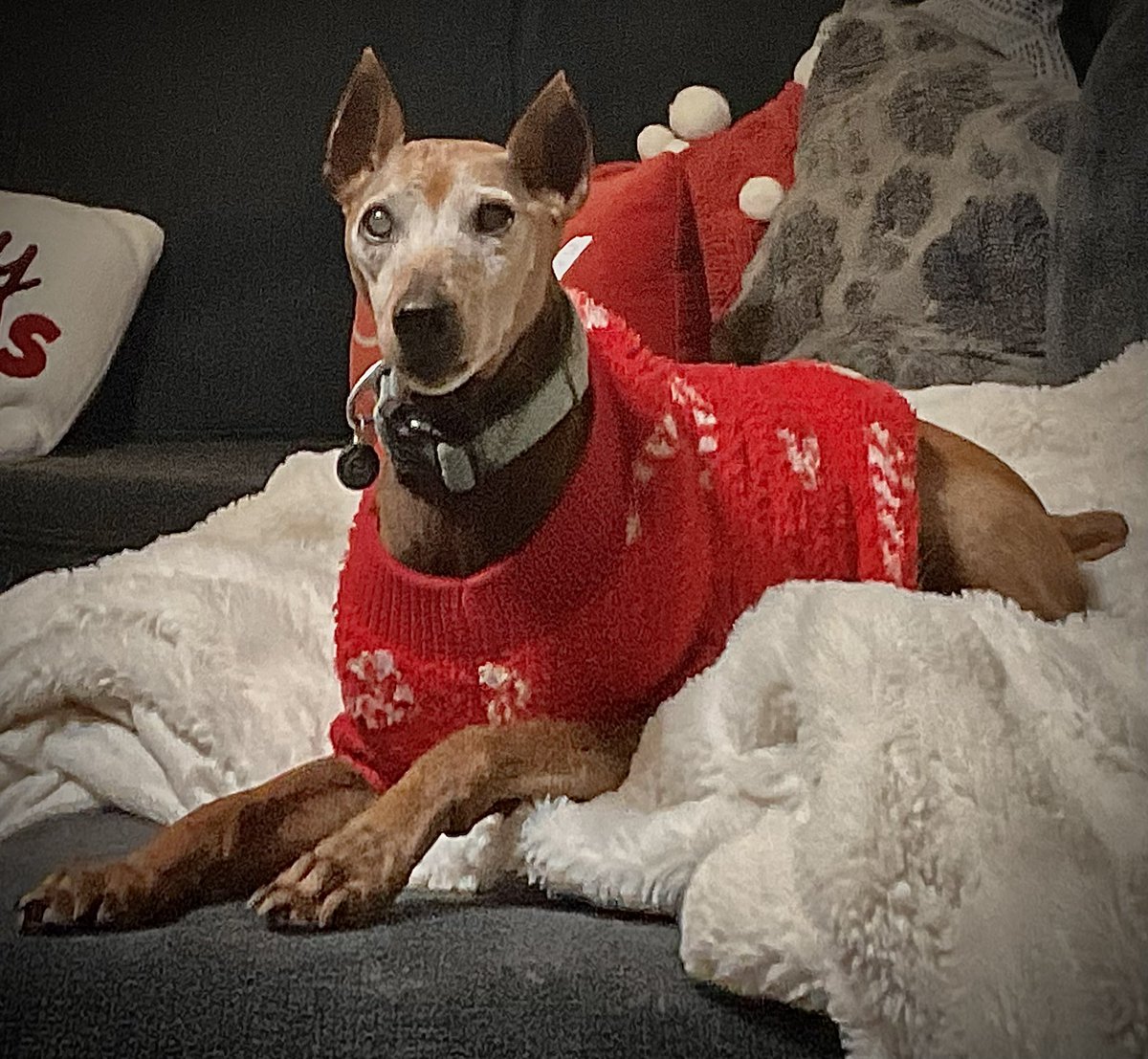 Crappie-doc 🐟🎣 tweet media