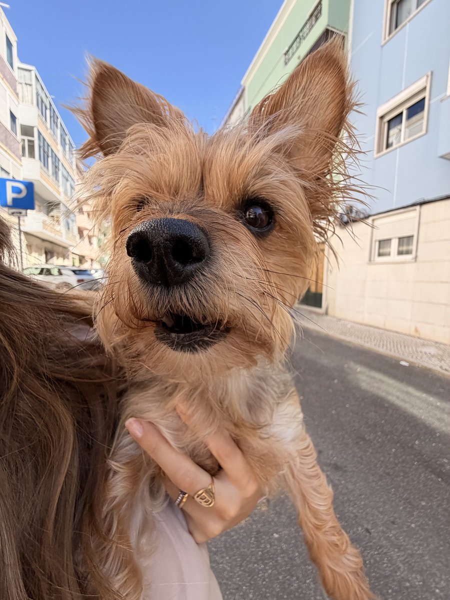 Bruna Gomes tweet media