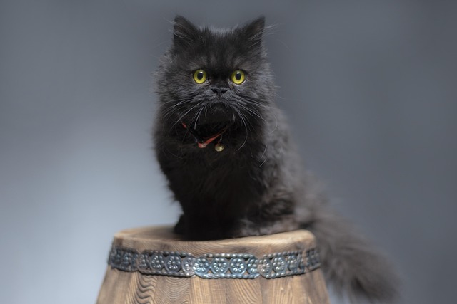 Jason Hendricks tweet media