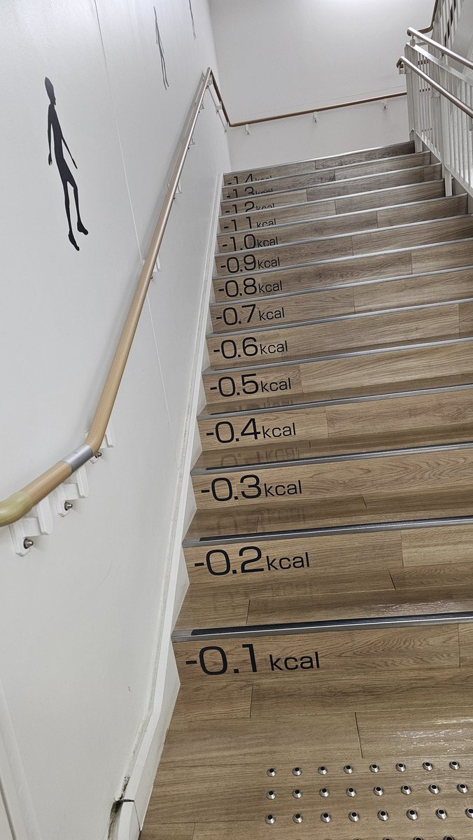 もたろう@写真📸映像🎥撮影📷編集💻 tweet media