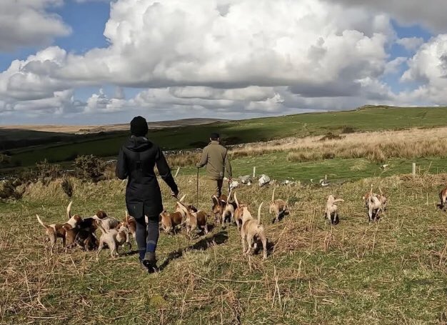 Action Against Hare Hunting tweet media