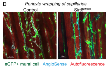 ResearchHub tweet media