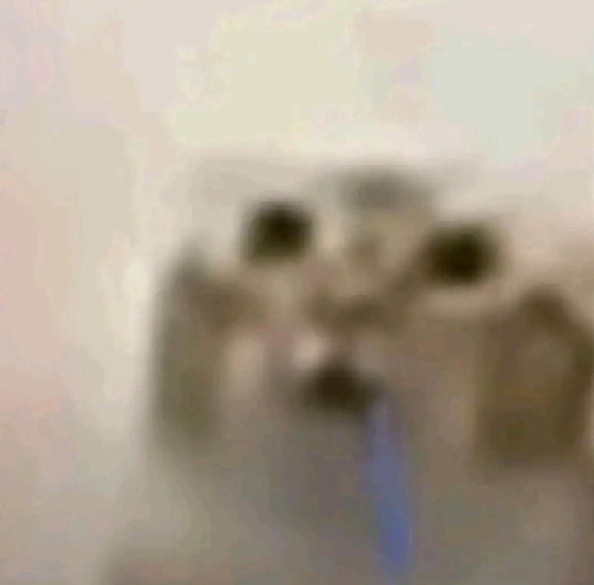 ❥ 𝕯𝖔𝖒𝖎𝖓𝖆𝖝 tweet media