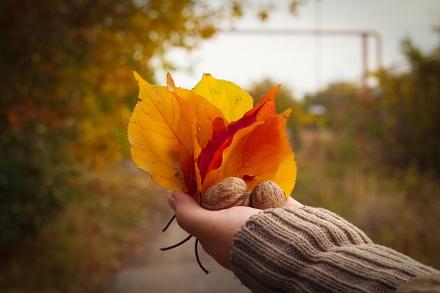 Tha Evans tweet media