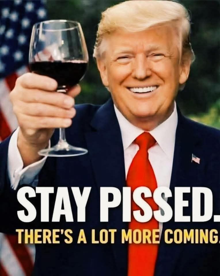 Mr. Star Spangled MAGA tweet media