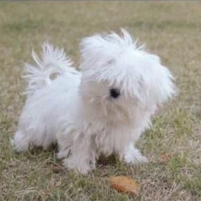 헤끌⁵ᐟ⁵🌝 →Track9 tweet media