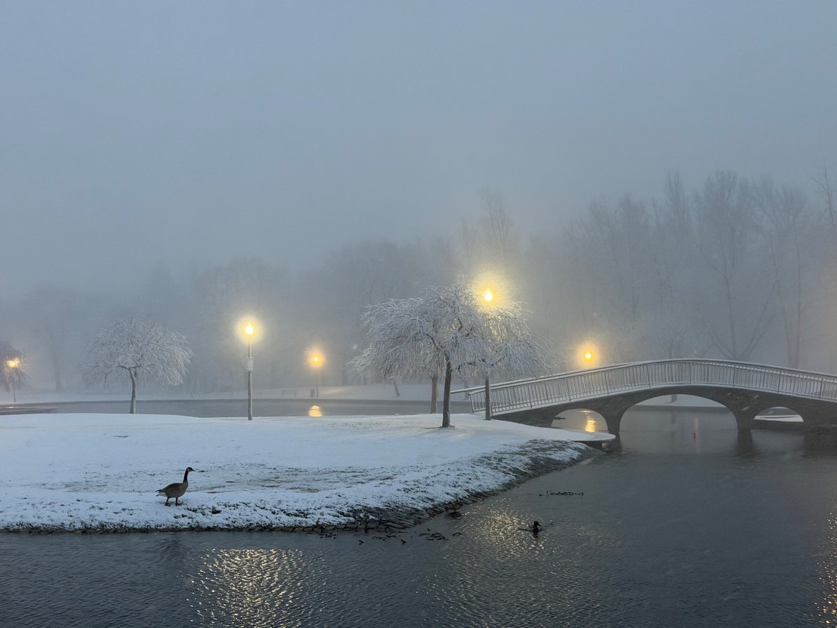 City of Pittsburgh tweet media