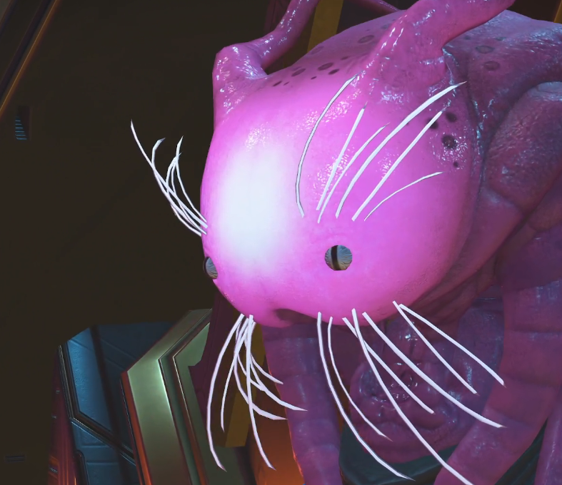 🦺Creative Interloper 🦺 tweet media