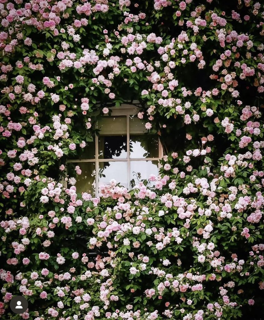 G r e e n 🌱 tweet media