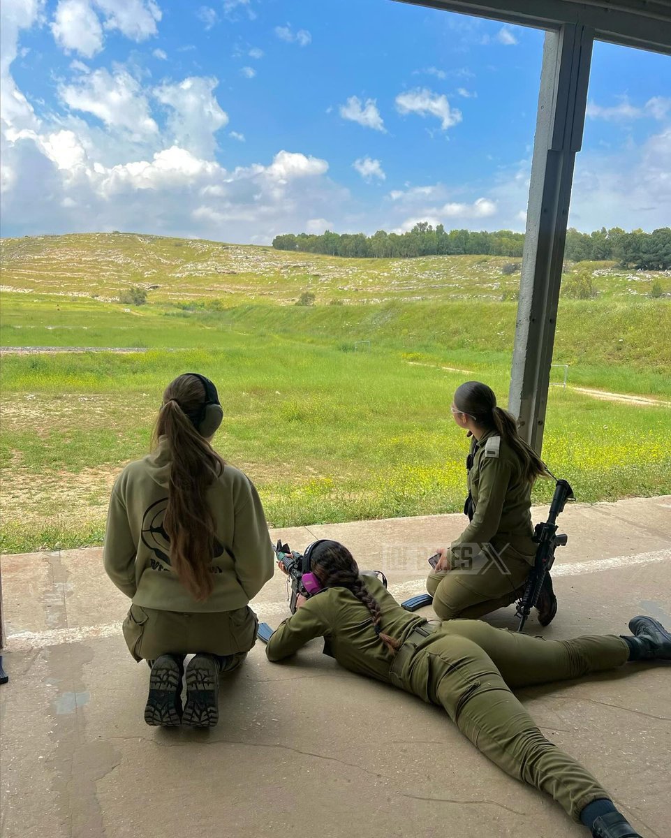 IDF Babes 🇮🇱 tweet media