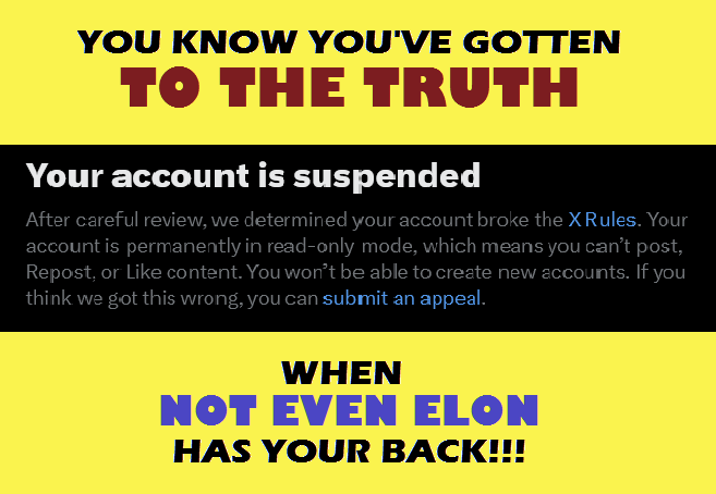 CandidObserver tweet media