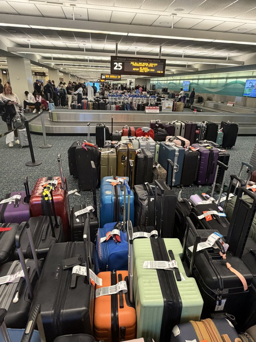 Joe Springsteen tweet media