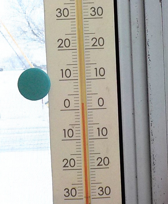 ビーボちゃん in 美幌 tweet media