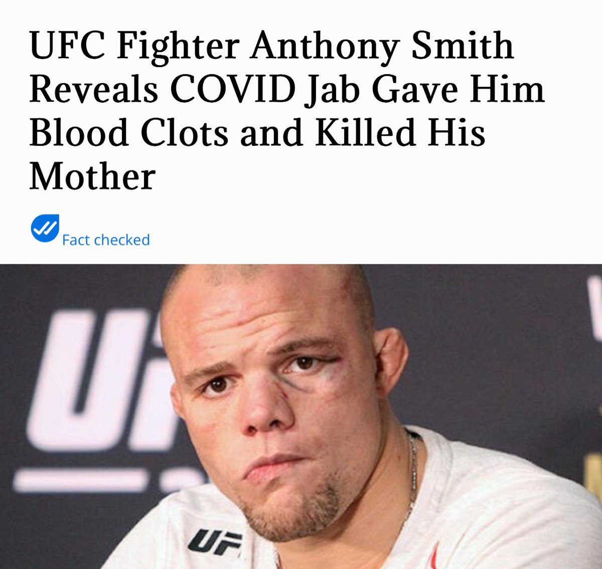 rabbitholebot tweet media