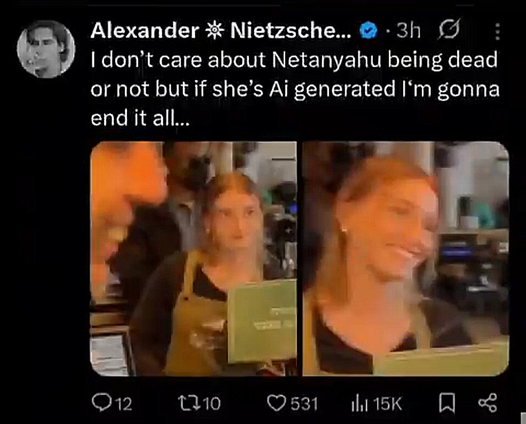 fishhies tweet media