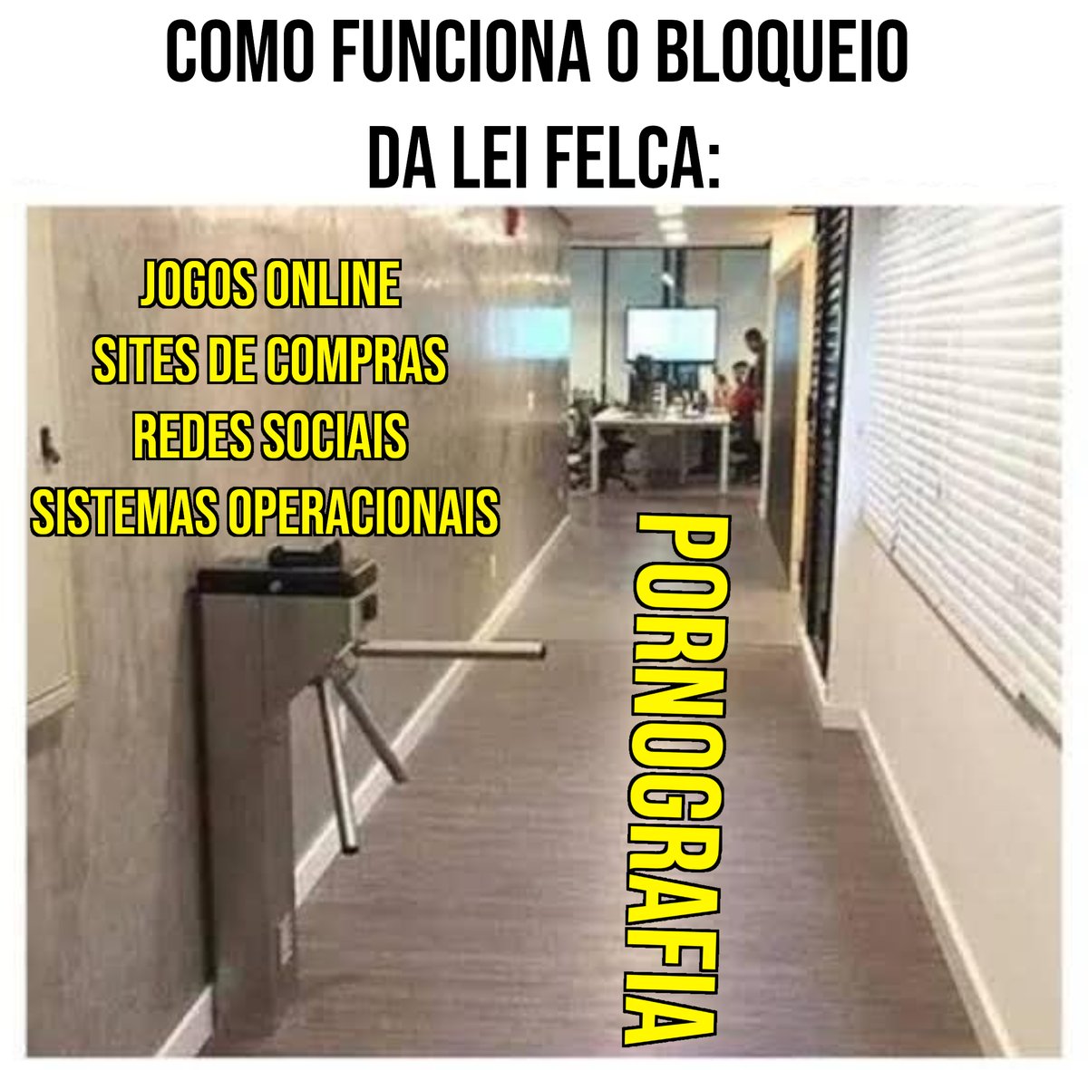 Tentei deixar o mais didático possível pra mostrar que essa lei Felca é uma ferramenta de censura de redes e controle de empresas e não é pra proteger crianças.