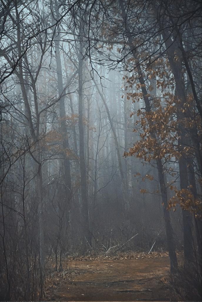 n0thing_man_ tweet media