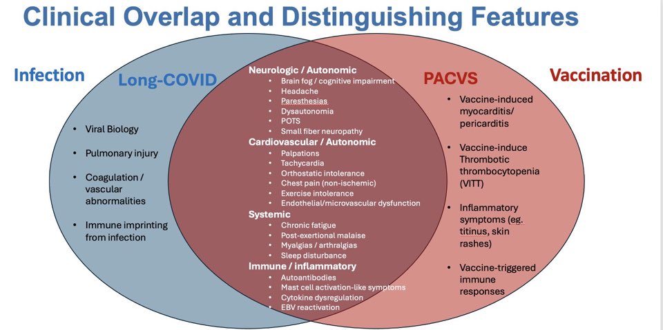 Charlotte Kuperwasser, PhD tweet media