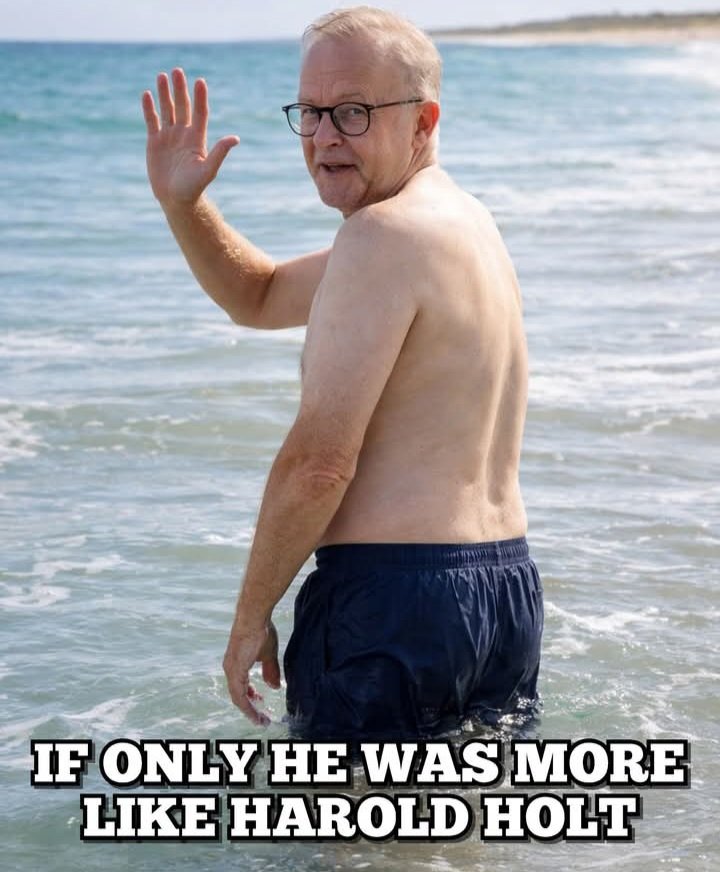 Australian Patriot. tweet media