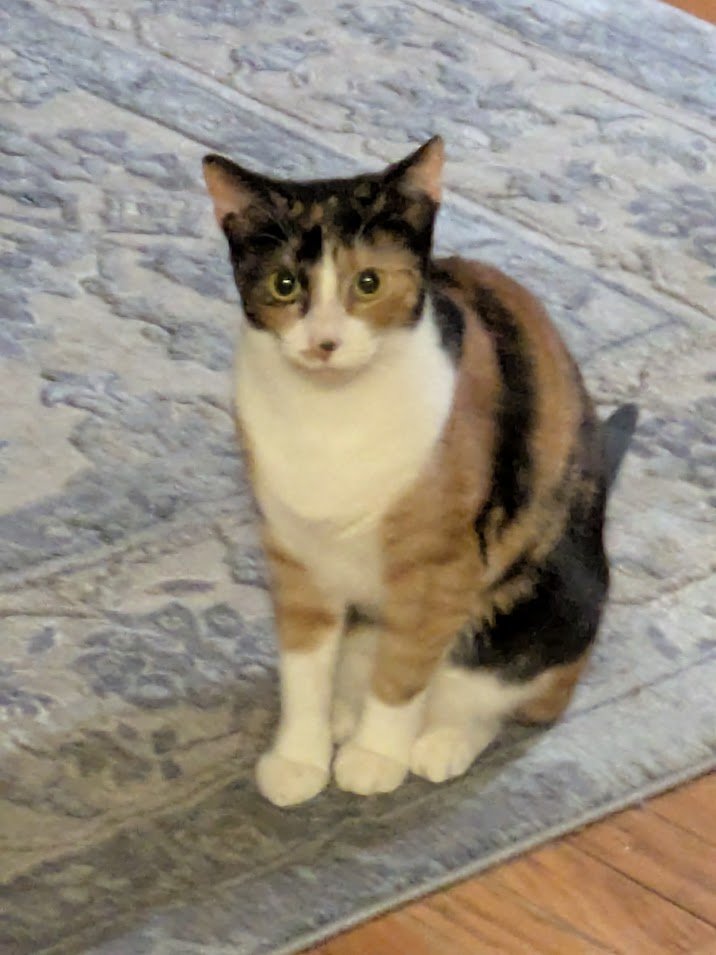 OtterPods 🦦 tweet media