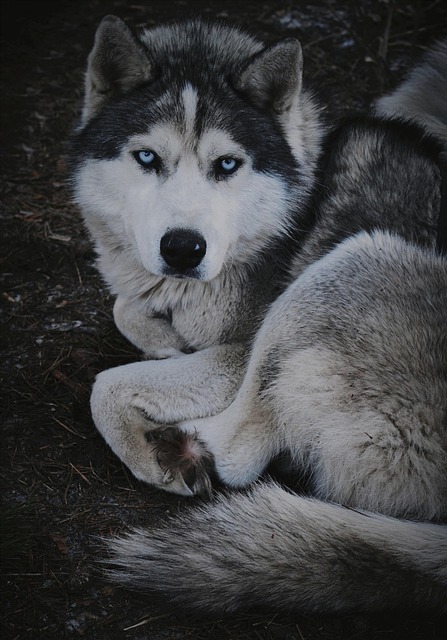 Daniel Mills tweet media