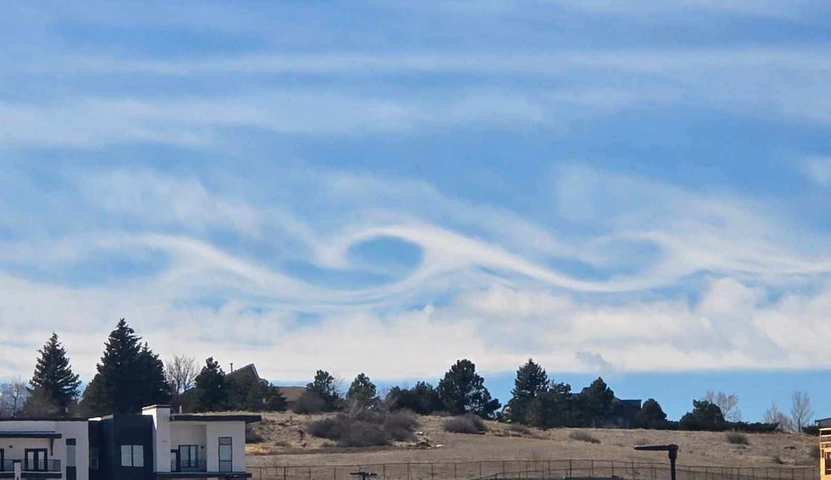 Kody Wilson tweet media