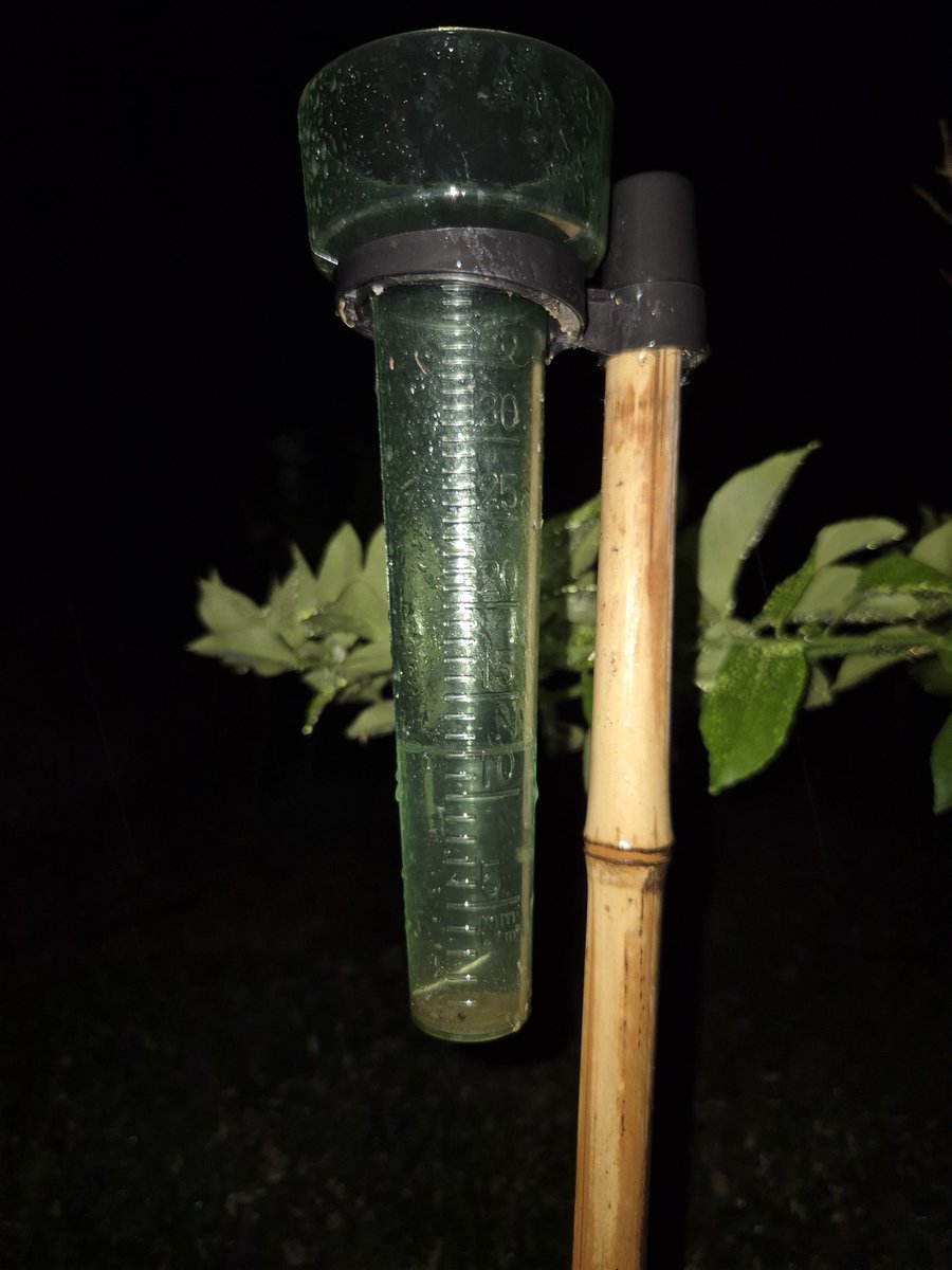 Martin Pino Silva tweet media