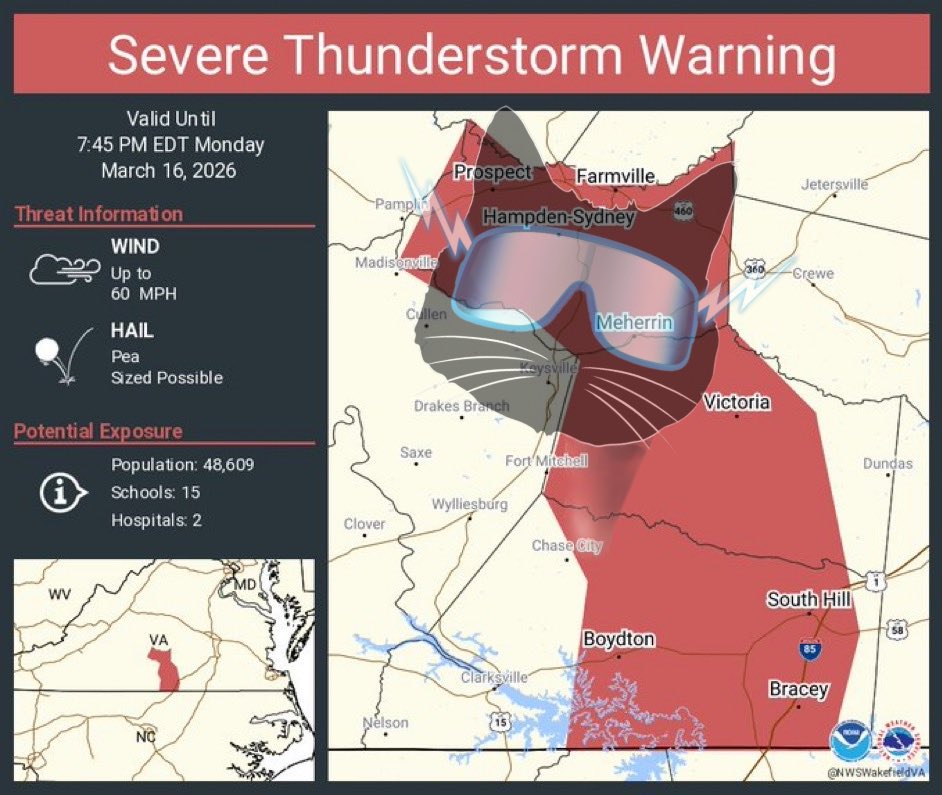 🌪️ The WX Store🌪️ tweet media