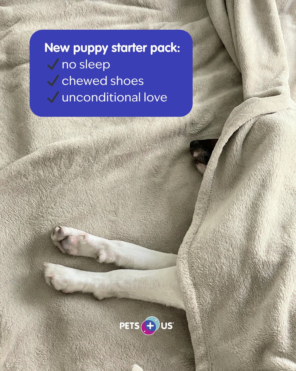 Pets Plus Us tweet media