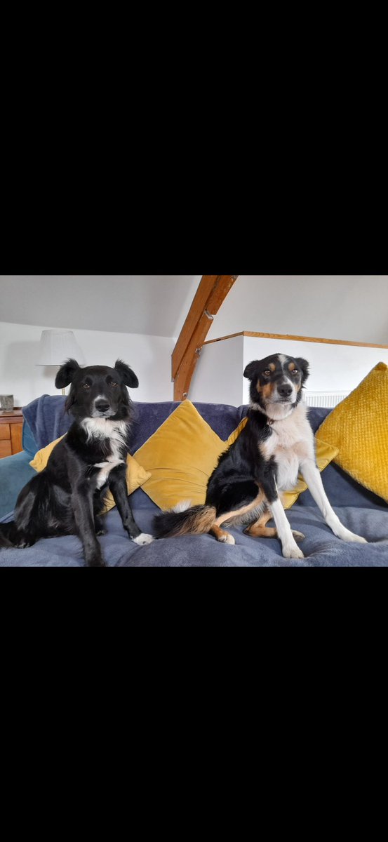 Kerry Hadley-Pryce (Dr. KHP) tweet media