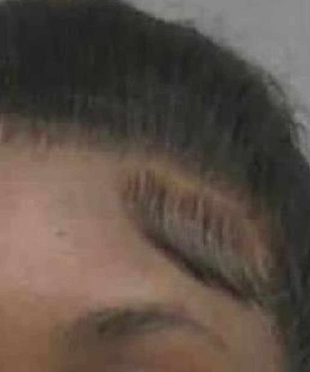 Garbage Human tweet media