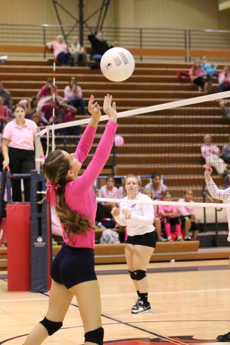 volleybops tweet media