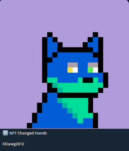 🐾 Black Market Dawgs 🐾 tweet media