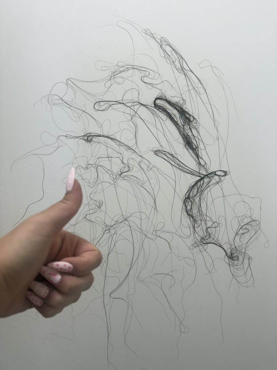 NovaCourt tweet media