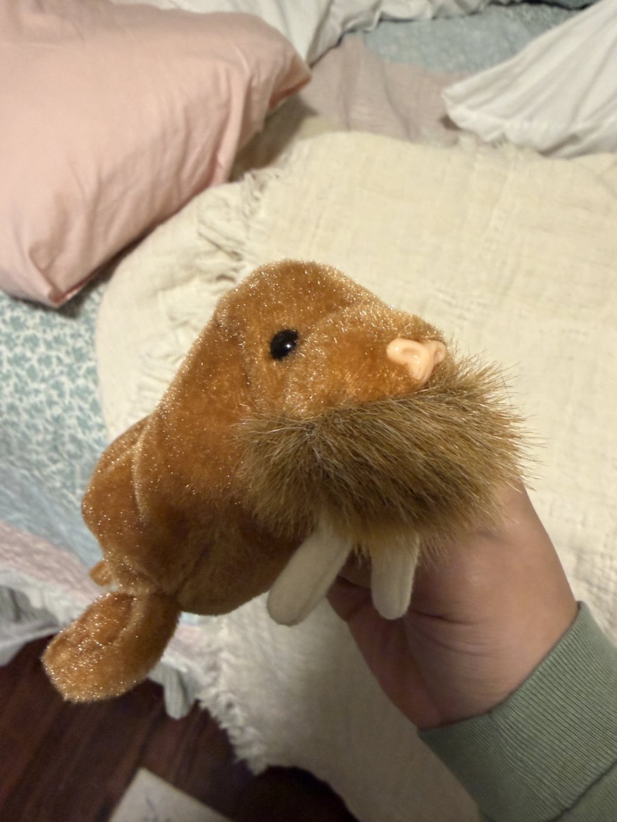 siah 🐦⬛ tweet media