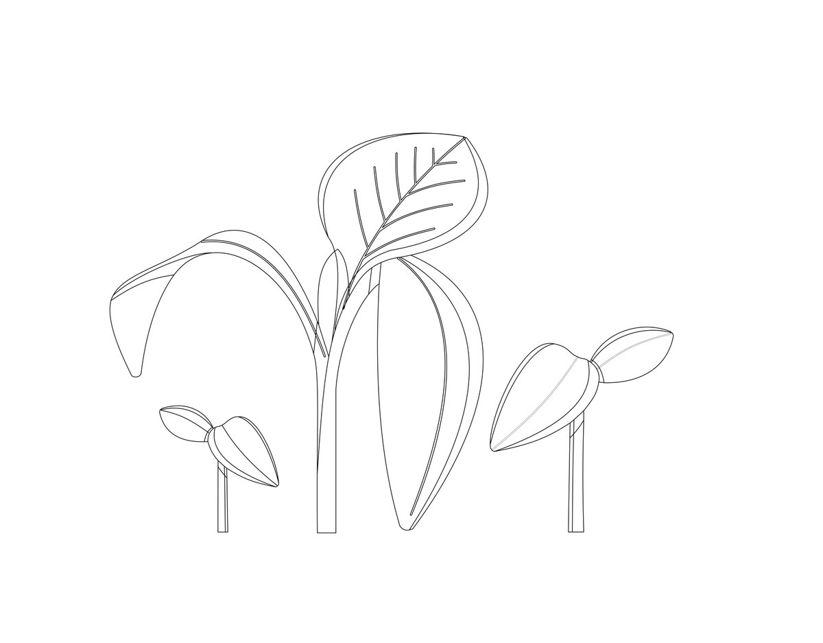 Dgeologist1's tweet image. Late Entry

Group Work 1 Completed

I would always come through

#GroupWork 01
#Illustration #Vector