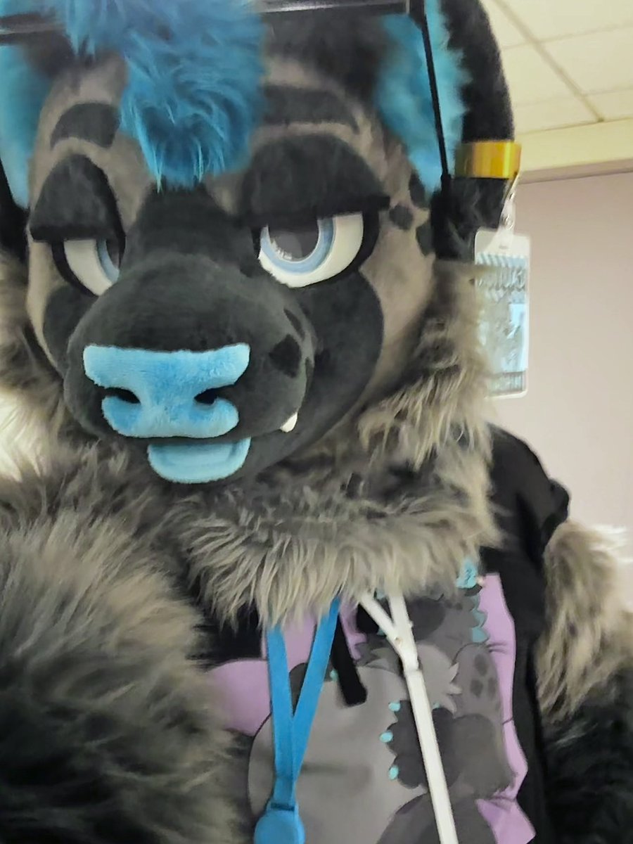 dashy 🔜 FWA, AC tweet media