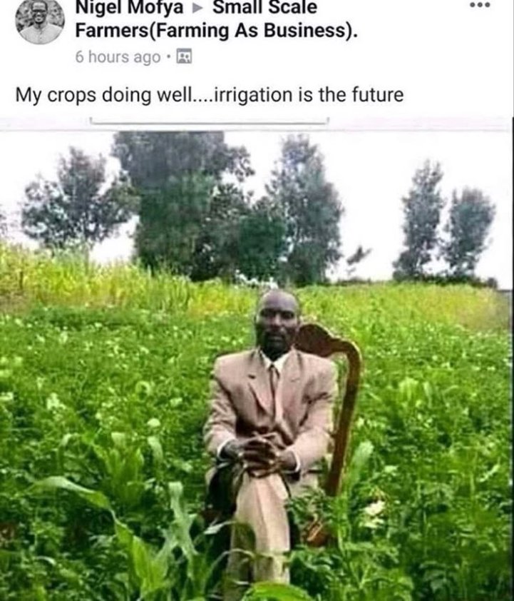 brainrot dimension tweet media