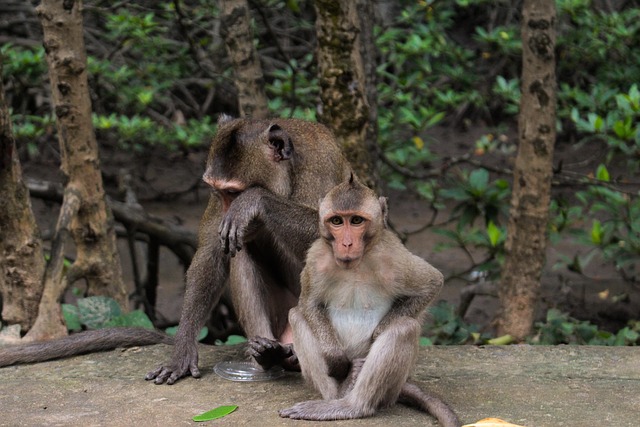 Steve Hale tweet media