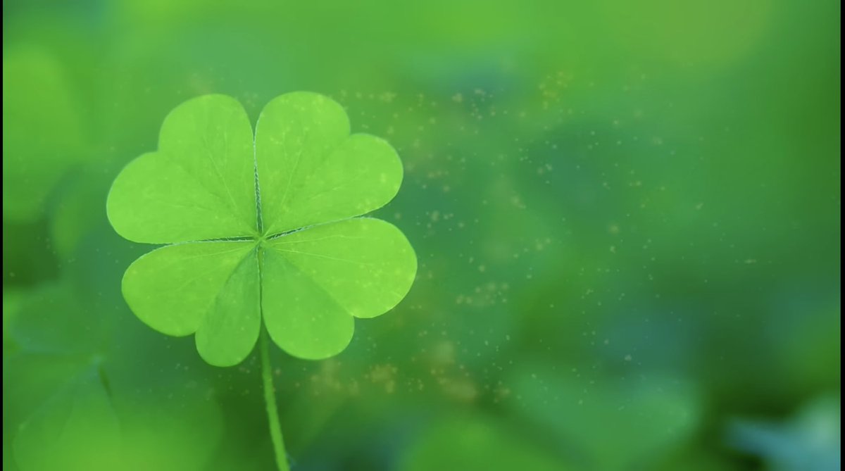 ساره ستار ٨٨٨١🌟 tweet media