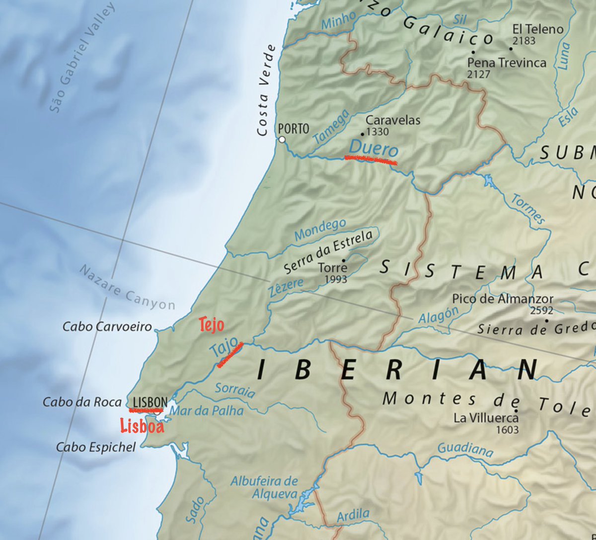 Tiago 🫶 tweet media