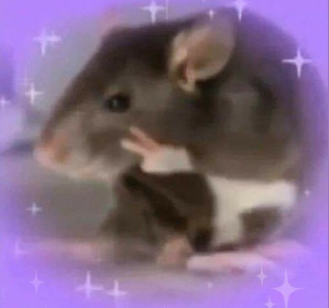 rory gilmore del conurbano VIO A HOZIER tweet media